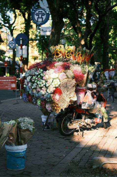 Scenedekor med store blomster