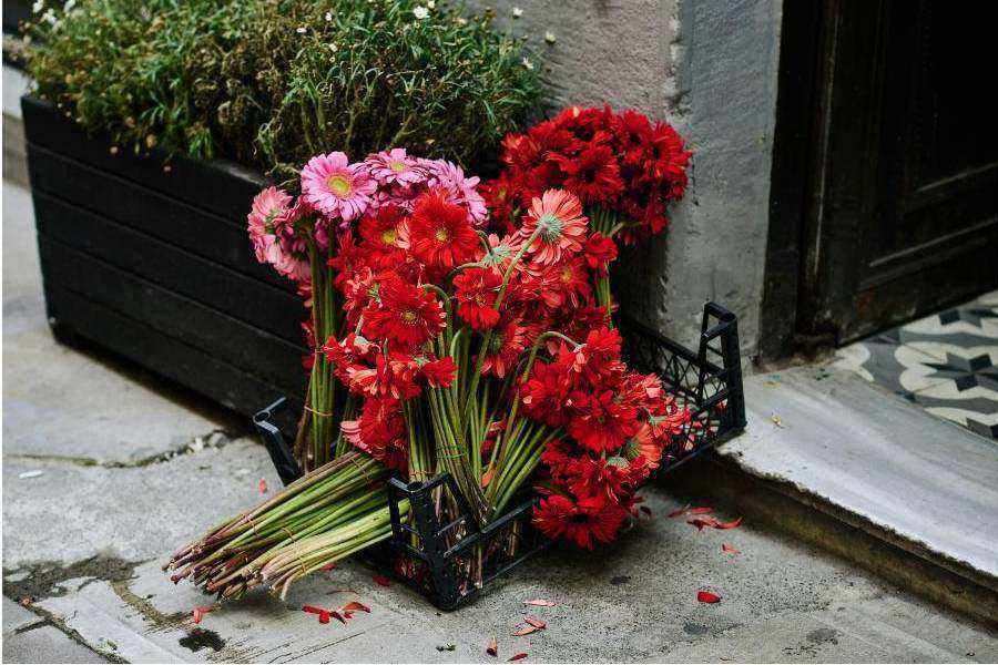 Arrangement 2
